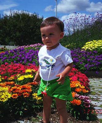 flowers.jpg (53126 bytes)